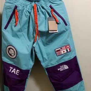 Northface tae pants